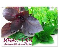 Kräuter - Gesund, hübsch und lecker (Wandkalender 2026 DIN A4 quer), CALVENDO Monatskalender: Gesundheit aus dem Kräutergarten