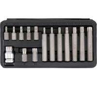 embouts torx, coffret de 14 embouts + adaptateur 1/2 - Bgs Technic G