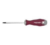 Kraftwerk Tools 305.430.020 PRO LINE Tournevis TX TX20 100