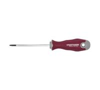 Kraftwerk Tournevis Kraftwerk PRO LINE TX15 100 Quantité:1