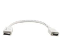Kramer ADC-DPM/HF - Câble adaptateur - DisplayPort mâle pour HDMI femelle