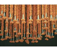 Krati Exports Lot de 5 guirlandes de souci Orange 1,8 m | Décoration de fête de Mariage Indienne/américaine Mantoulle, Guirlande de Mariage, décoration de Diwali, Printemps buisson Floral.