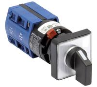 Kraus & Naimer CG4 A211-621 FS2 Disjoncteur de charge 10 A 2 x 60 ° gris, noir