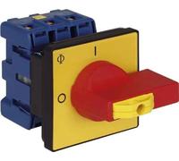 Kraus & Naimer Interrupteur principal arrêt d'urgence 40A 15KW 3 pôles KG41B T203/04 Kraus & Naimer
