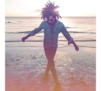 KRAVITZ,LENNY - Raise Vibration