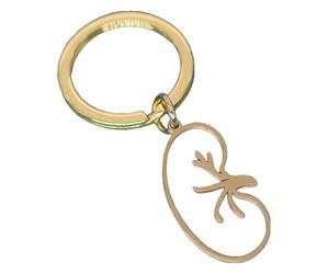 KREATIONS Porte-clés rein en acier inoxydable Pendentif Médecins Accessoires, Ka1169g-doré, S