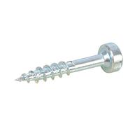 Kreg SPS-C1-250-EUR Lot de 250 Vis tête cylindrique Zinc pour trous borgnes