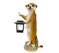 Kremers Schatzkiste Figurine de jardin Eddy avec lanterne solaire 38 cm