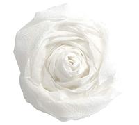 Krepppapier 2,5x0,5m 903001 weiß VE10