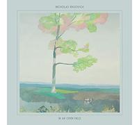 Krgovich,Nicholas - In An Open Field