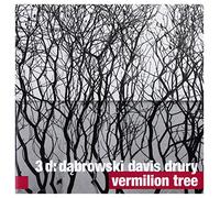 Kris Davis - Kris Davis / Tomasz Dąbrowski / Andrew Drury: Vermilion Tree [CD]