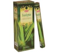 Krishan Encens Eucalyptus - Boîte entière 120 bâtonnets