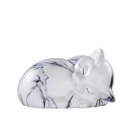 Kriss Art Urnes pour Animaux de Compagnie Urne funéraire en résine pour Chat endormi Urnes Chat pour Cendres Petite Urne Animale…