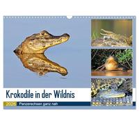 Krokodile in der Wildnis (Wandkalender 2026 DIN A3 quer), CALVENDO Monatskalender: Krokodile - die Welt der Riesenechsen