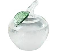 Kronabelle Prédicteur météo, baromètre en verre tempête en forme de pomme, taille mini avec feuille, verrerie décorative, cadeau de Saint-Valentin, cadeau de pendaison de crémaillère, 7,6 x 7,6 x 8 cm