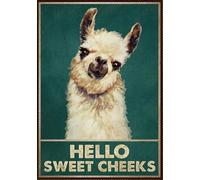 Krouterebs Plaque en métal antique « Hello Sweet Lama Cheeks » - Décoration vintage pour garage, maison, jardin, cafés, cuisine - 30,5 x 40,6 cm