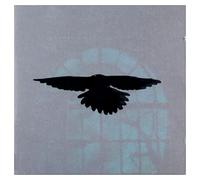 I Will Not Come Back