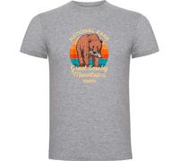 Kruskis Great Smoky Mountains Short Sleeve T-shirt Gris L Homme