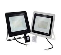 KRXSOBNV, Lumières d'inondation extérieures de capteur Mouvement Éclairage extérieur Mur Rue Jardin, Taille: Lampe 50W,Lampes solaires d'extérieur(Cool White,100W)