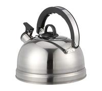 KRXSOBNV, Sifflet de poêle, bouilloire, théière avec poignée ergonomique, pichet d'eau chauffante de grande capacité,Bouilloires à thé(Silver)