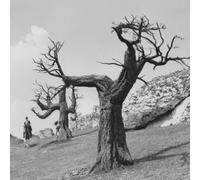 Krzysztof Penderecki & Experimental Studio Of Polish Radio - Ost: Saragossa Manuscript [Import]