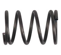 KS Tools 122.1285-R029P Plume Multicolore