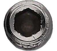 KS Tools 515.1625-R009P Vis sans tête Multicolore