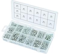 KS TOOLS 970.0420 Assortiment de vis auto-taraudeuses à tête ronde, 550 pcs, Gris