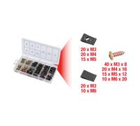 KS TOOLS 970.0530 Assortiment de vis et d'écrous cage Acier, 170 pcs