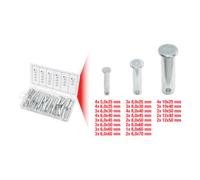 KS Tools Assortiment d'écrous de sécurité, Ø 5-12mm, 21 dim. 60 pcs. Quantité:1