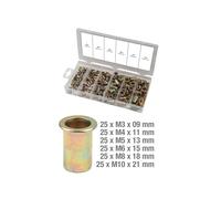 KS TOOLS Assortiment de rivets filetes acier, M3x9mm-M10x21mm, 150 pcs