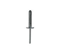 Rivets en plastique pour Chrysler - Ø 5,1 mm - 10 pcs KSTOOLS - 4201103