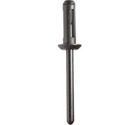 KS TOOLS Clip d'assemblage de rivets aveugles pour GM,paquet de 50 420.5304
