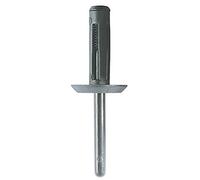 KS TOOLS Clip d'assemblage de Rivets aveugles pour GM,Paquet de 50 420.5306