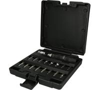 KS TOOLS 515.1000 Coffret de tournevis à frapper avec embouts, 18 pièces Noir