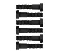 Juego de tornillos M12 x 1,75 mm, SW 19, L=55 mm, 6 pzs