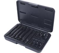 Coffret de 14 embouts à chocs RIBE®, 5/16'' KS TOOLS - 911.4306