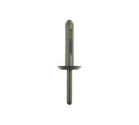 KS Tools 4201276 Rivet Pour Ford en plastique (Lot de 10)