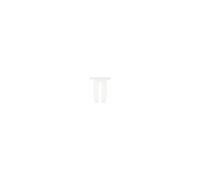 Ecrous plastique pour Ford - Ø 6,3 mm - 10 pcs KSTOOLS - 4201263