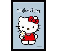 KS12 Hello Kitty - Fleur - miroir imprimé