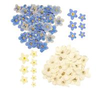 KSBBHDS 80 Morceaux De Mini-Fleurs Séchées, des Fleurs Décoratives Simples, des Accessoires De Maison, Peuvent Être Utilisés pour La Manucure, Les Bijoux, Les Bougies Et Les Cartes.