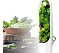 KSGSFSA Réfrigérateur Conservateur D'herbes Fraîches Coriandre, Persil, Asperges la Boîte de Rangement D'herbes Fraîches Peut Garder Les Légumes de Coriandre Frais Pendant 2-3 Semaines (3 Pièces)