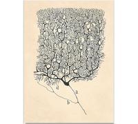 KSHAO ATHQW Célèbre Santiago Ramon Affiche Neuron Wall Art Anatomie Peinture sur Toile Purkinje Cellules Impressions abstraites pour la décoration intérieure Photo 20x30cm sans Cadre