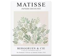 KSHAO ATHQW Henri Matisse Affiches Vert Corail Feuilles Art mural Style bohème Peinture sur toile Henri Matisse Impressions Salon Décor Photo 15x20cm SANS cadre