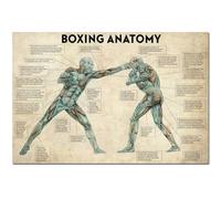 KSHAO ATHQW Humain Musclé Affiche Et Impressions Boxe Anatomie Art Mural Éducation Médicale Photo Noir Blanc Toile Peinture Clinique Décor 30x50cm sans Cadre