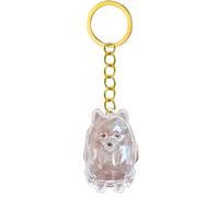 Ksikdeg 1. Porte-clés Commémoratif pour Cendres Et Cheveux d'animaux De Compagnie Vitrine Transparente avec pour Le Souvenir La Perte Boîte Commémorative Transparente du Souvenir