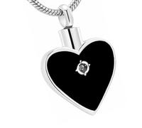 Ksikdeg Collier avec pendentif en forme de cœur pour cendres - Souvenir pour animal de compagnie perdu