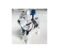 KSix PETS HOLDER - Système de support - harnais pour chiens Blanc