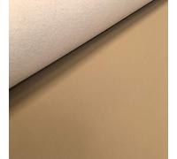 Kt KILOtela - Tissu d'Ameublement Simili Cuir, Faux Cuir, Skaï, Chaise, Coussins, Sièges, Meubles, Tapisserie d'Ameublement, Artisanat, Résistant à l'Usure, 50 cm Longueur x 140 cm Largeur, Beige