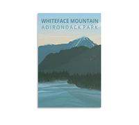 KTYWZ Plaque en étain rétro Whiteface Mountain Adirondack Park Lake Décoration pour maison, art mural, cuisine, bar, pub, salle, ferme, garage, affiche rétro vintage 15 x 30 cm